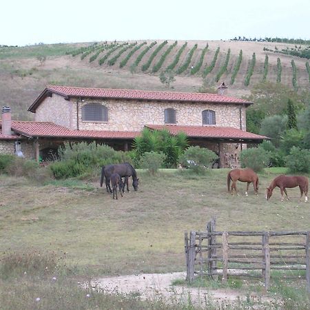 Casale Farnesiana B&B Tarquinia Exterior foto