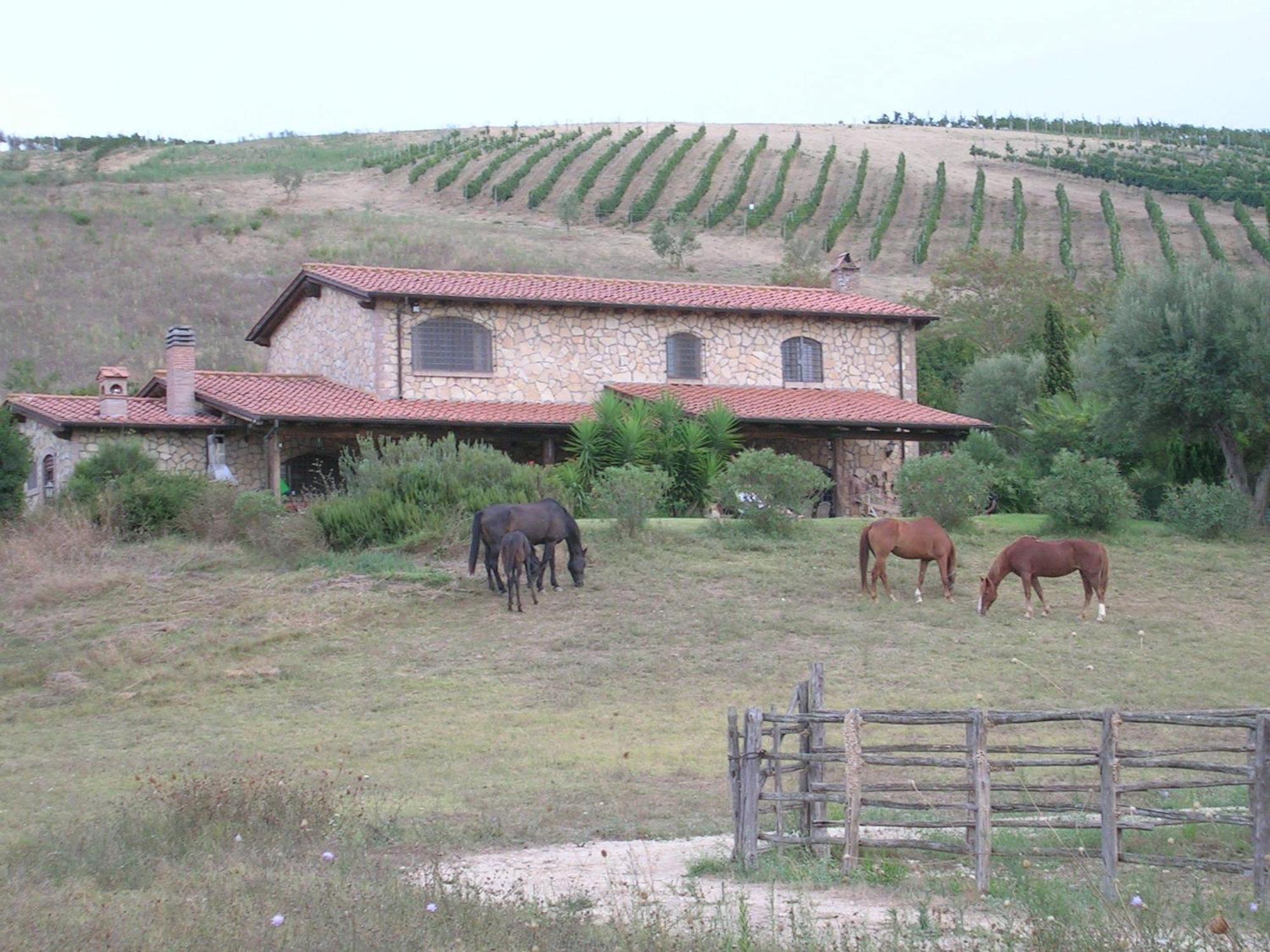 Casale Farnesiana B&B Tarquinia Exterior foto
