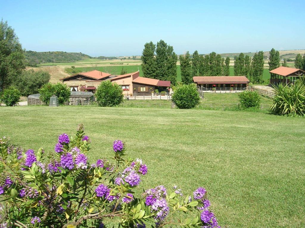 Casale Farnesiana B&B Tarquinia Exterior foto